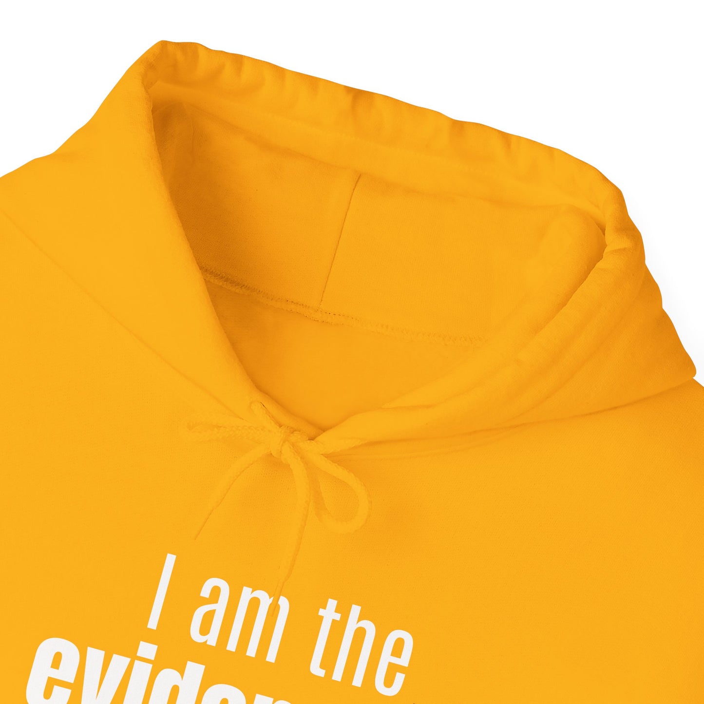 "I Am the Evidence" Hooded Sweatshirt