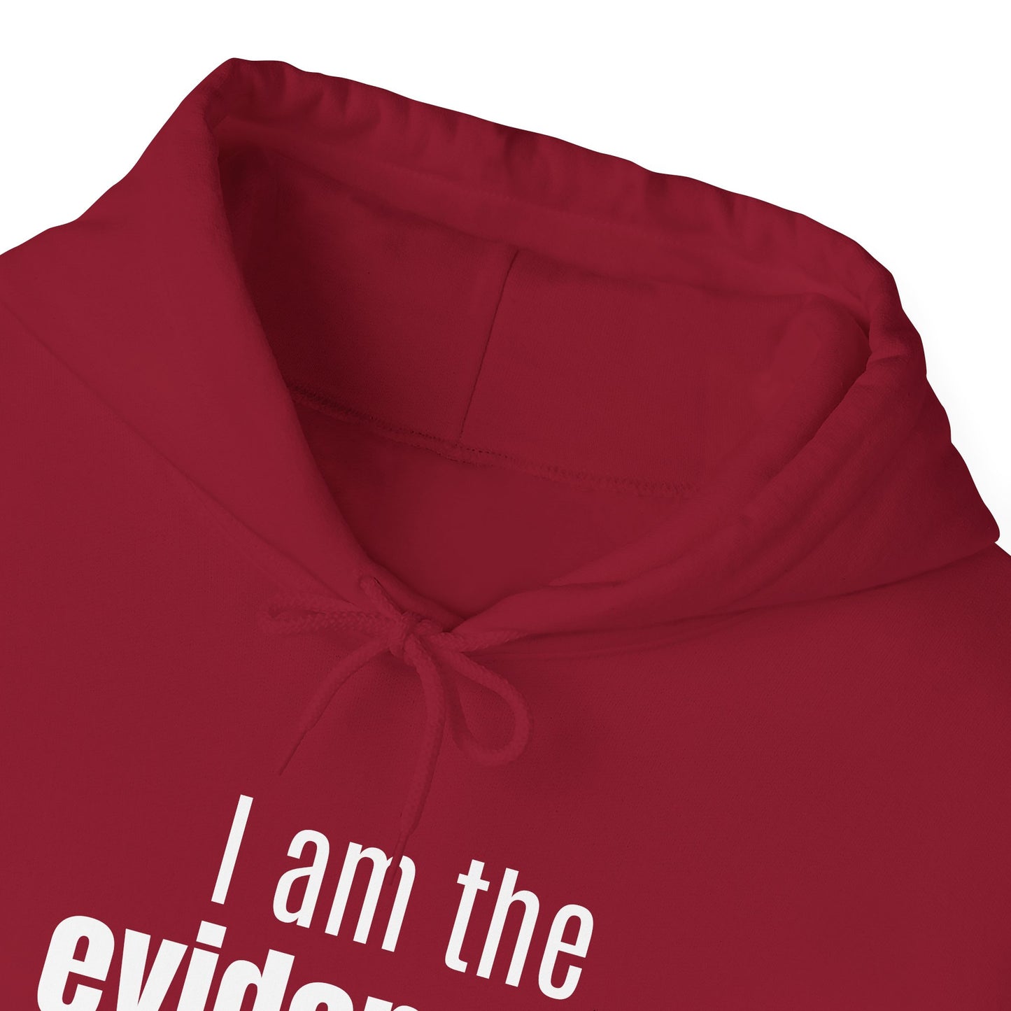 "I Am the Evidence" Hooded Sweatshirt