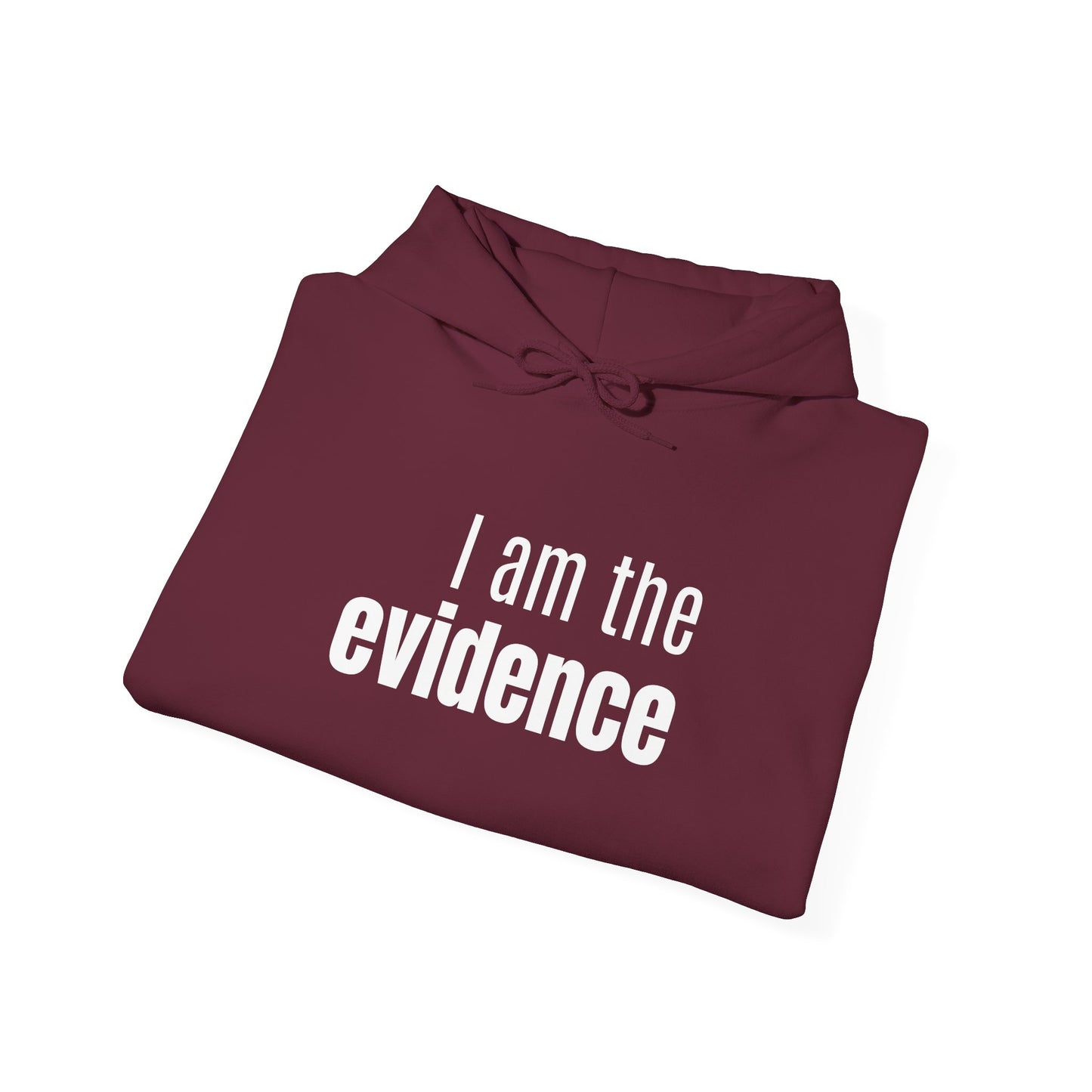 "I Am the Evidence" Hooded Sweatshirt
