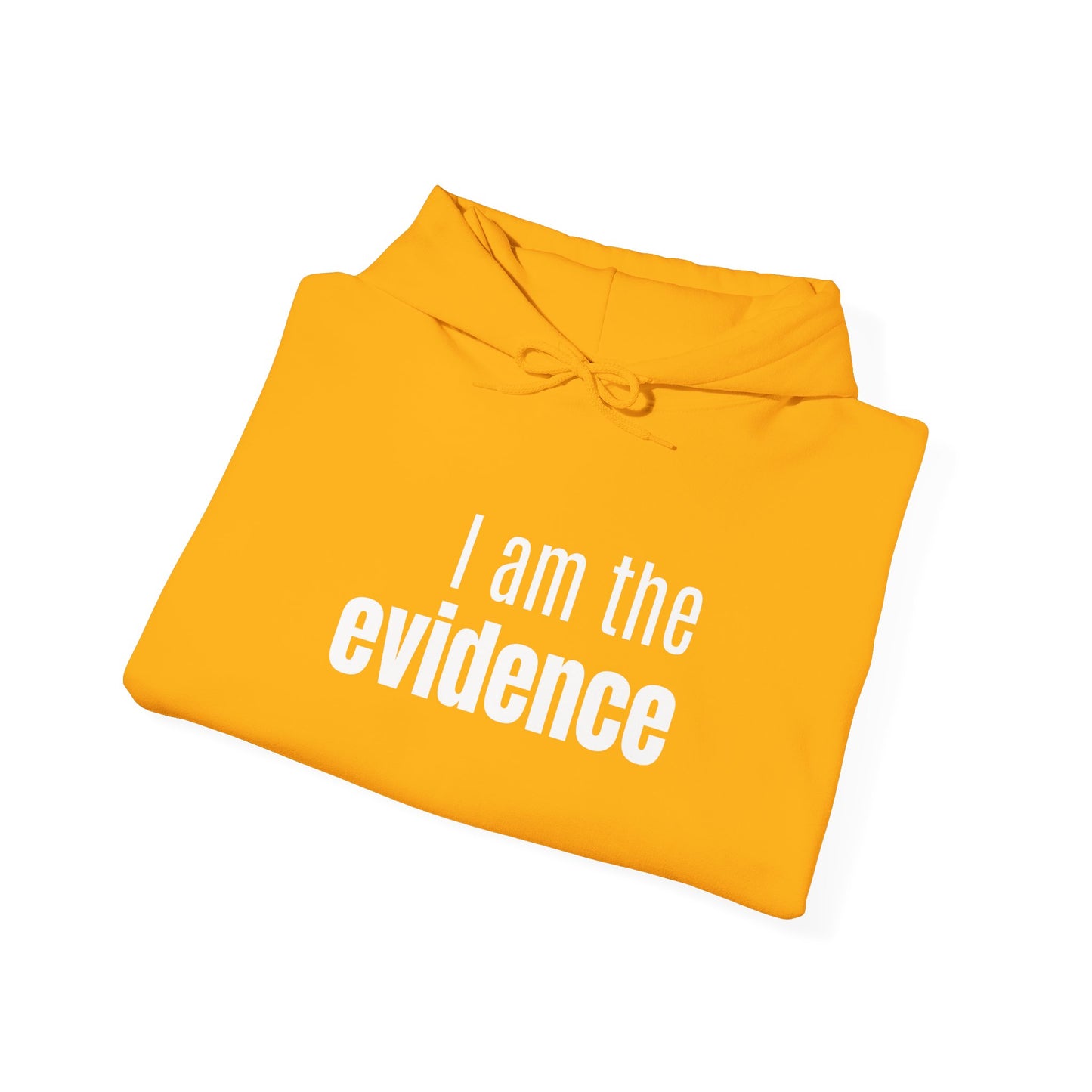 "I Am the Evidence" Hooded Sweatshirt