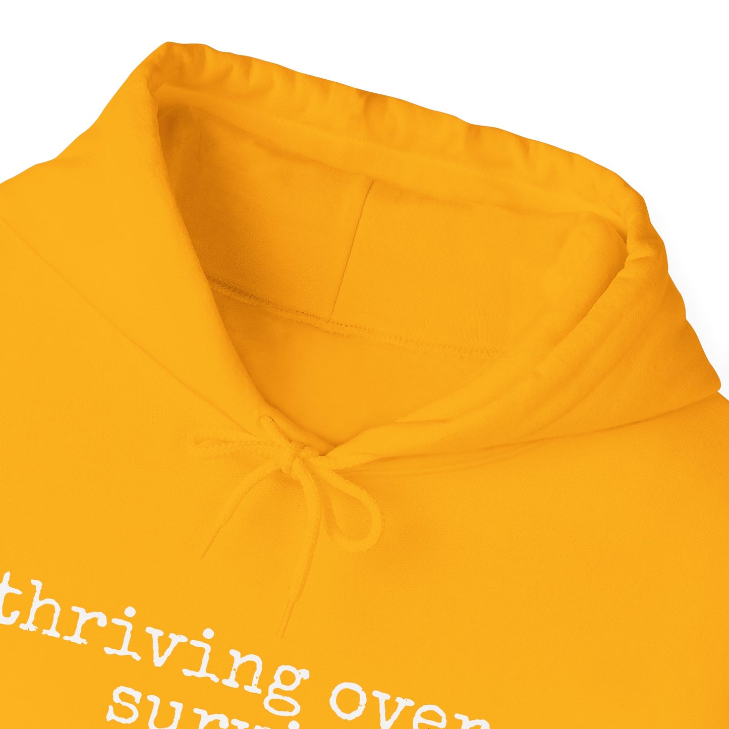 "Thriving Over Surviving" Hooded Sweatshirt