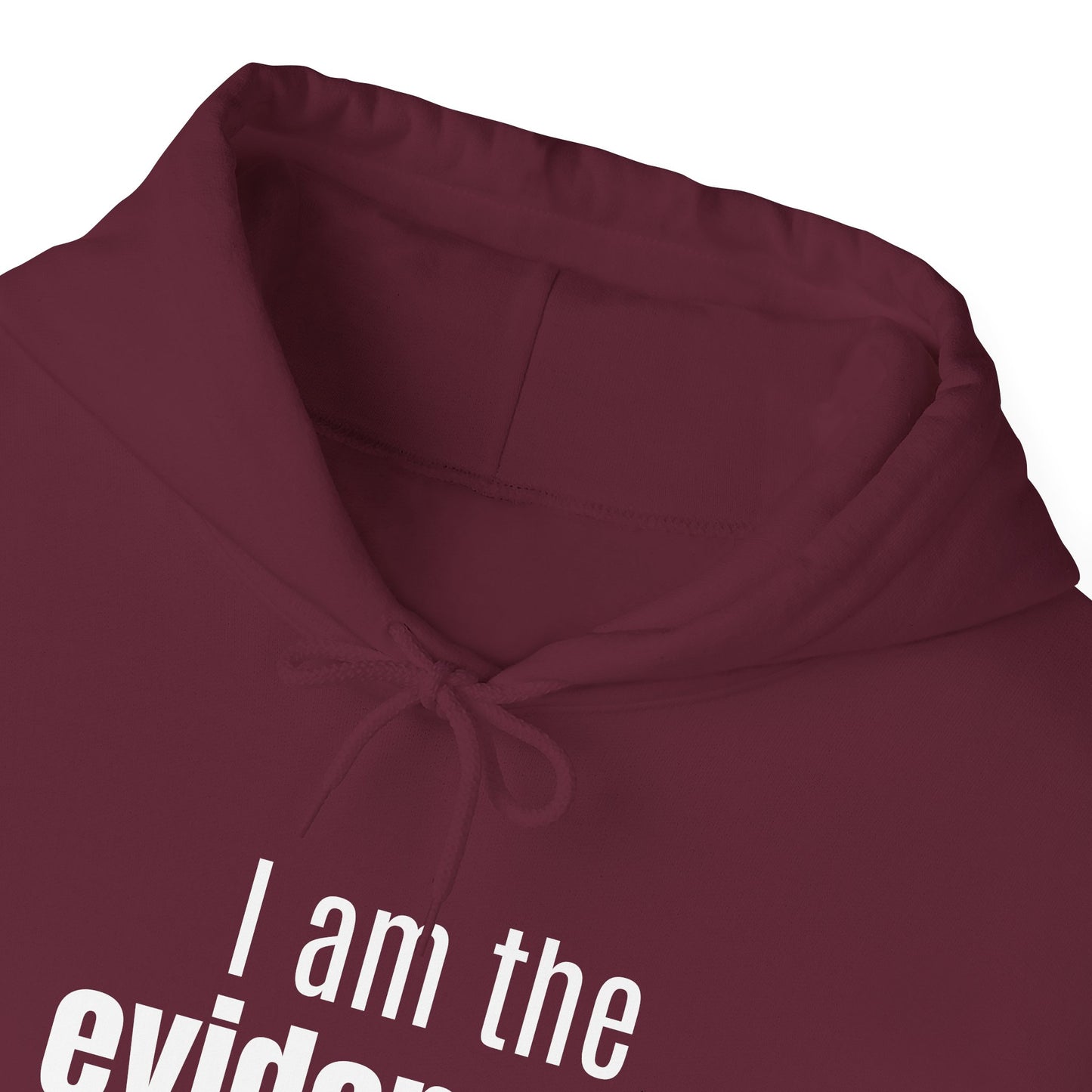"I Am the Evidence" Hooded Sweatshirt